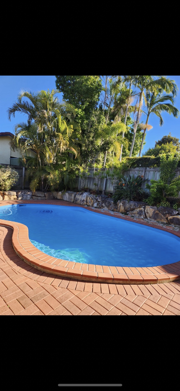 Blue swimming pool framed by brick paving and tropical palms