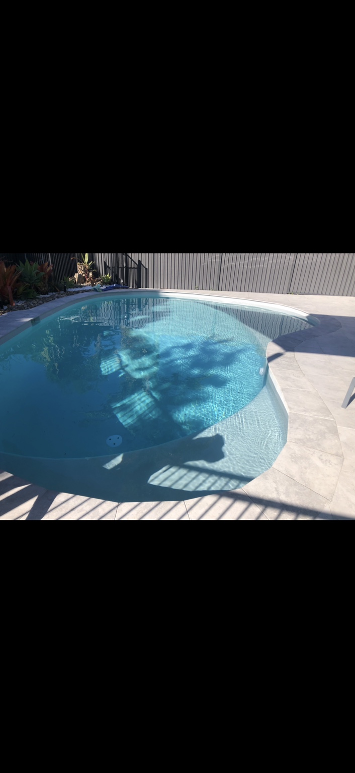 Pale blue curved swimming pool in a leafy backyard